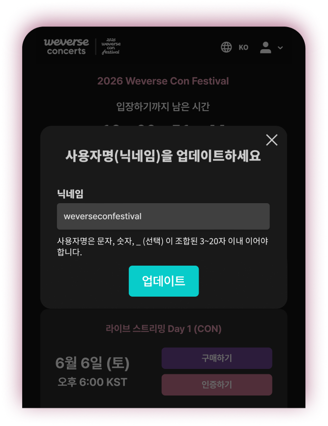 닉네임을 설정하여 공연 중 채팅에 참여할 수 있는 화면 예시